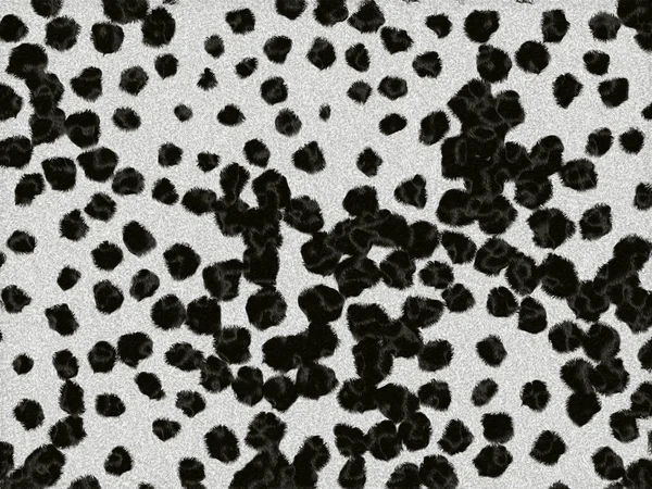 Dalmatian fur texture — Stock Photo, Image