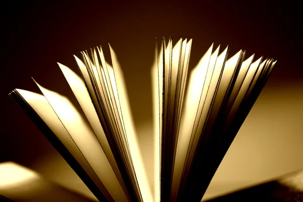Close-up do livro — Fotografia de Stock