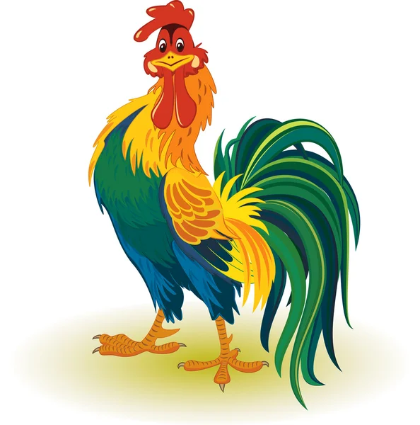 Colorful rooster — Stock Vector