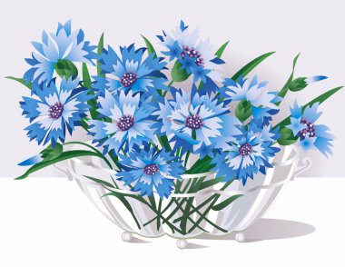 Cornflowers clipart