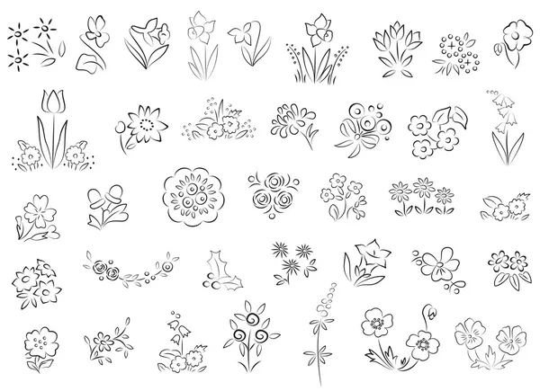 Sketch of flowers — Stock Vector
