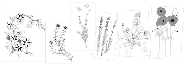 野生花卉的剪影 — 图库矢量图片