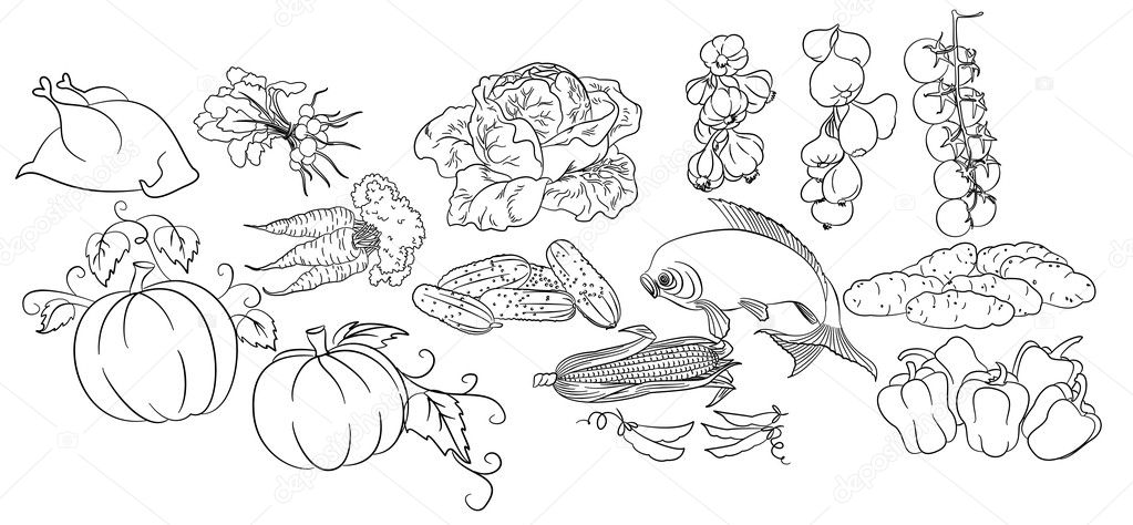 Sketch of vegetables, chicken & fish