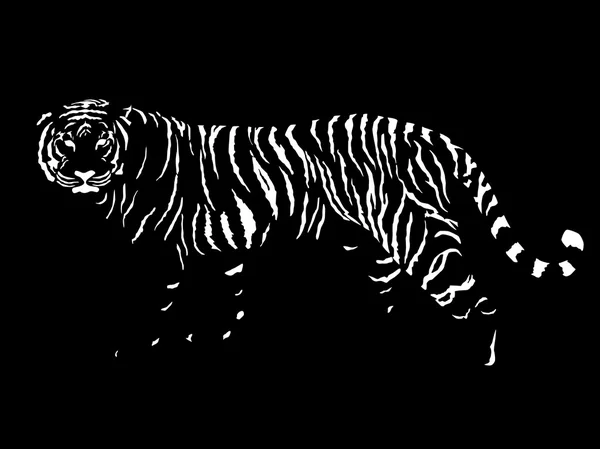 老虎 — 图库矢量图片