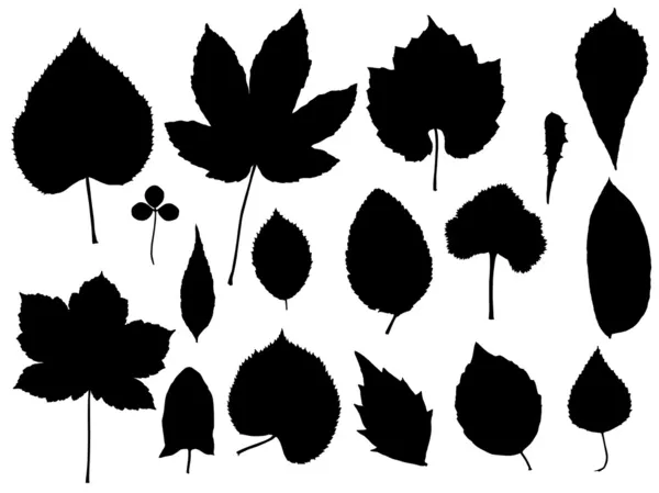 Vettore di foglie — Vettoriale Stock