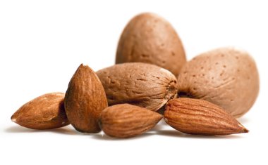 Almonds clipart