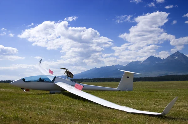接地的滑翔机 — 图库照片