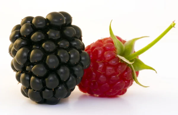 Málna és a blackberry — Stock Fotó