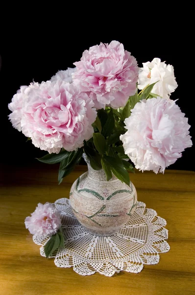 Peonía rosa en jarrón — Foto de Stock
