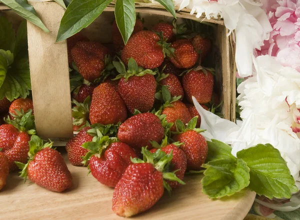 草莓篮子 — 图库照片