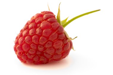 Raspberry clipart