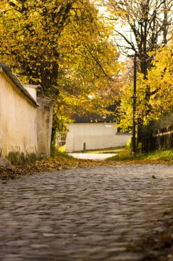 Cobbled street in autumn clipart
