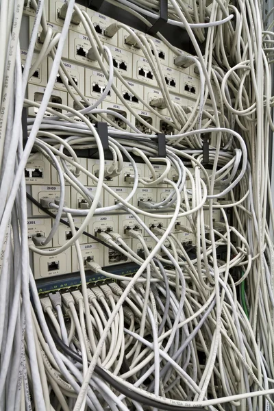 El cable de red en la sala de servicio — Foto de Stock