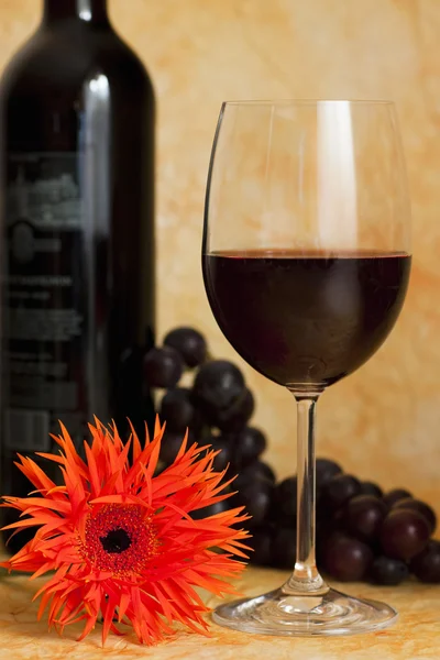 Viña roja con uvas rojas — Foto de Stock