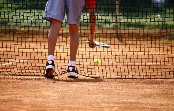 Tenis