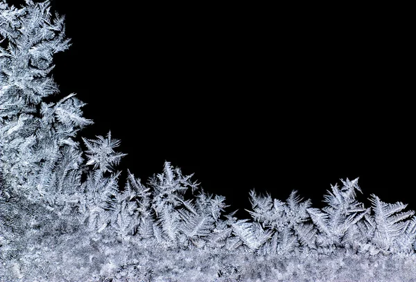 Ледяной цветок — стоковое фото