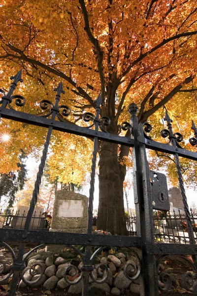 Cemetery in autumn — Stock Photo, Image