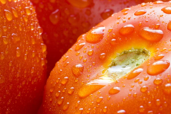 stock image Red tomatoes