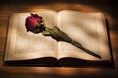 Dried Rose and Book clipart