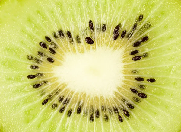 Stock image Kiwi