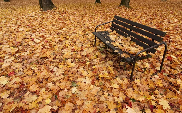 Höstens bänk — Stockfoto