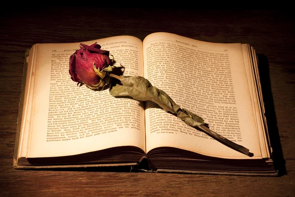 Αποξηραμένα τριαντάφυλλο και το βιβλίο — Φωτογραφία Αρχείου