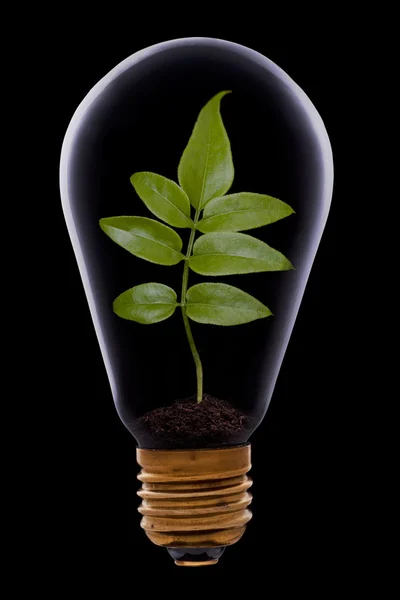 Green energy concept, — Stock Photo, Image