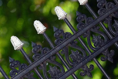 Old fashioned metal fence clipart