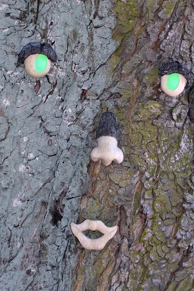 stock image Tree with face