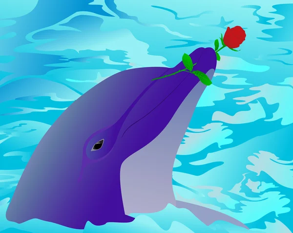 海豚和一朵玫瑰 — 图库矢量图片