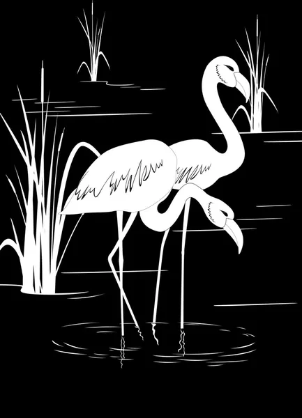 Flamingo en el lago — Vector de stock