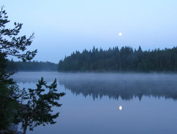 Brouillard matinal sur un lac forestier sauvage — Photo