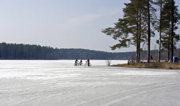 stock image Cyclists on ice