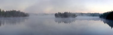 Morning fog on forest lake clipart
