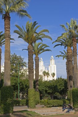 City park in Casablanca clipart