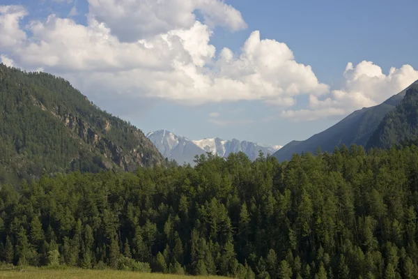 Paesaggio Altai — Foto Stock