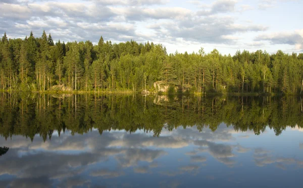 Forest lake in the evening of summer day — Stock Photo, Image