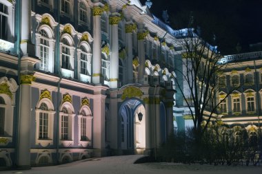 Winter Palace facede in winter night clipart