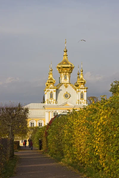 Grand Palace в місті Peterhof — стокове фото
