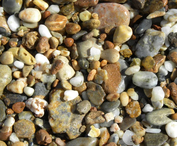 Stones on the beach — Stock Photo, Image