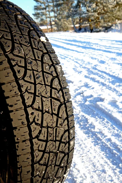 stock image Winter way