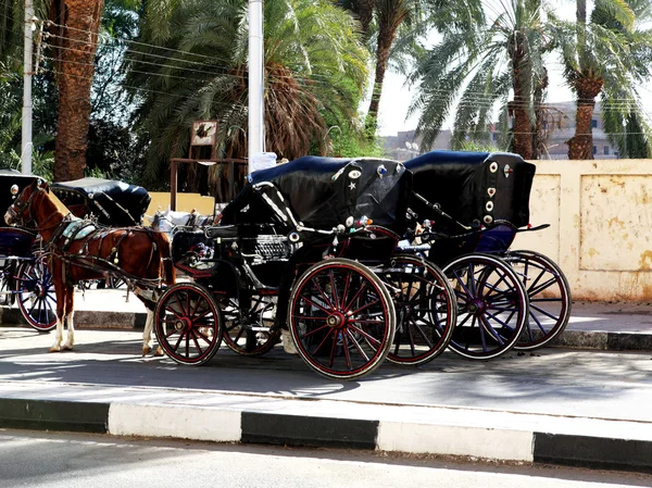 Carriages — Stock Photo, Image