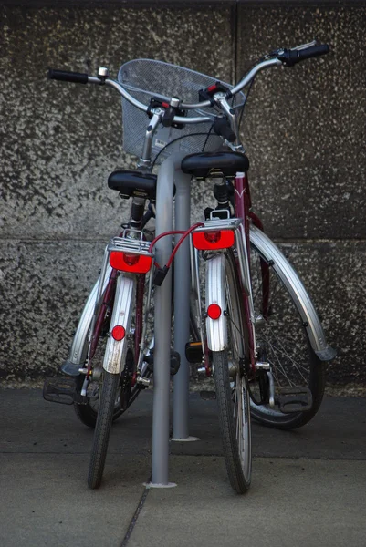 stock image Two bicycles