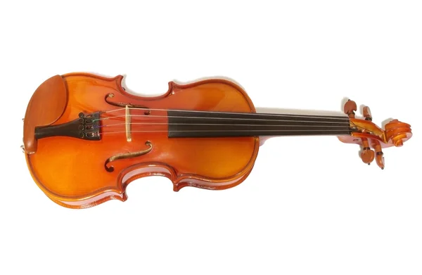 stock image Violin