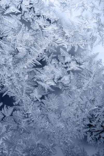Frostiga mönster Stockbild