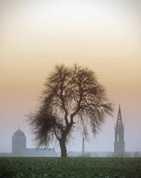 Árvore e torres — Fotografia de Stock
