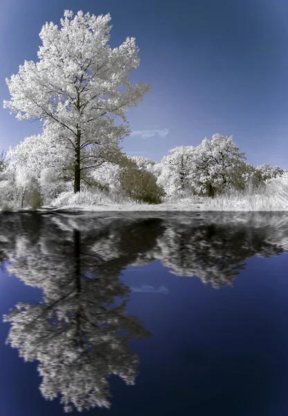 Lago in inverno — Foto Stock