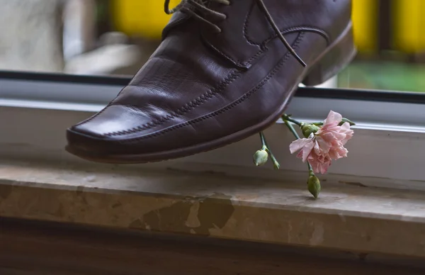 stock image Flower and shoe