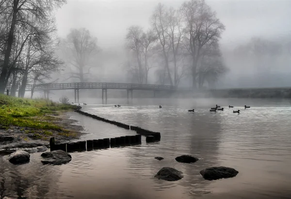 De rivier in de mist — Stockfoto