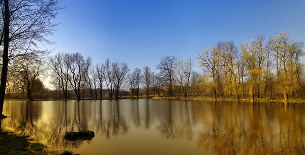 Espejo en el lago — Foto de Stock